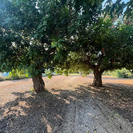Casa Clio נויקאטארו