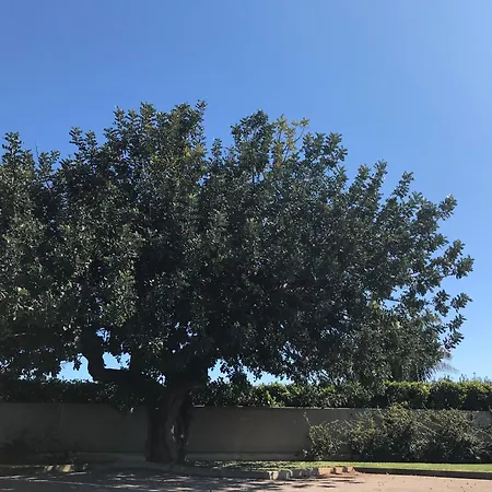 דירה Casa Clio נויקאטארו