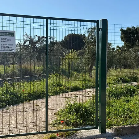 Casa Clio דירה