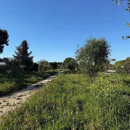 Casa Clio דירה נויקאטארו