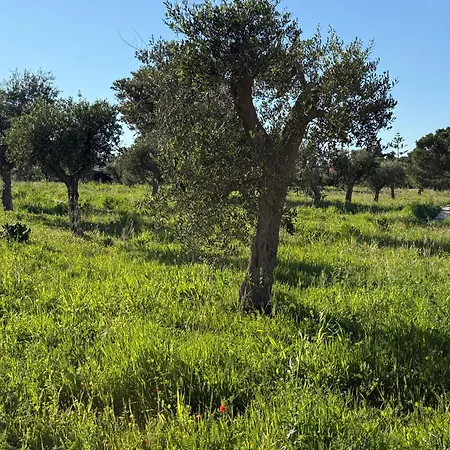 Casa Clio
